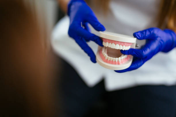 Trusted Wartburg, TN  Holistic Dental Services Experts